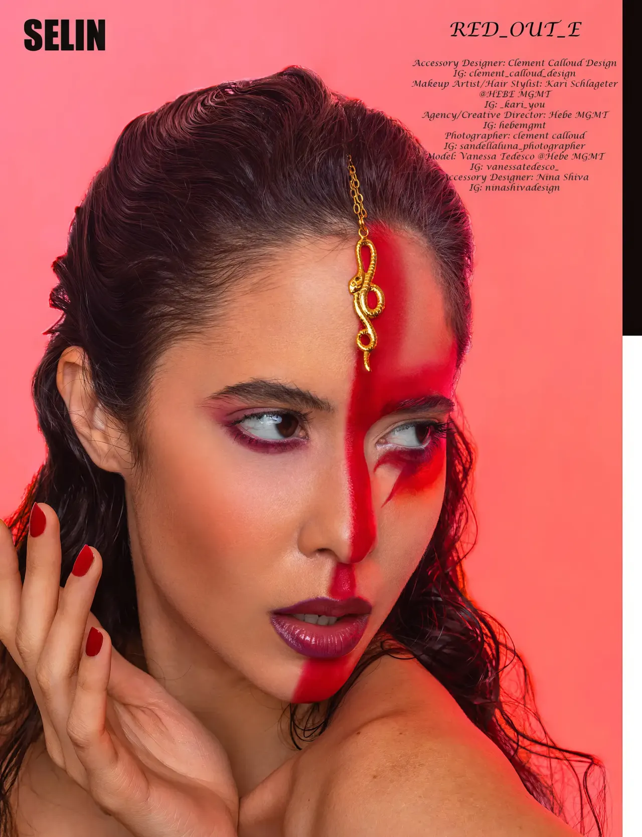 SELIN issue 16 vol.11, publication par Sandellaluna, photo 1 sur 4